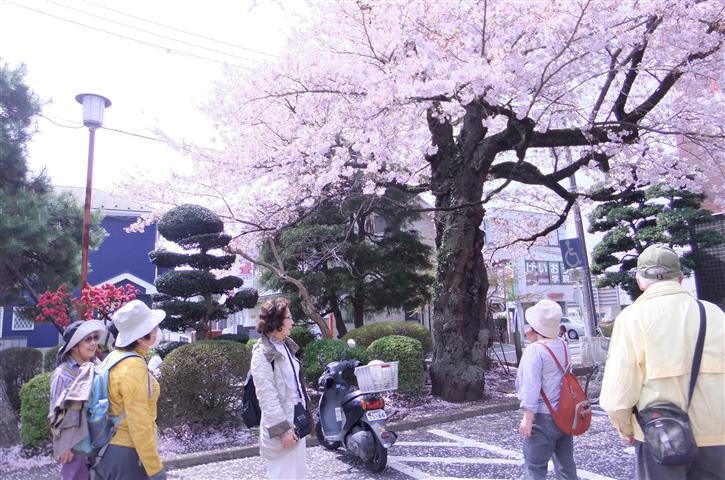 地域型認知症予防教室